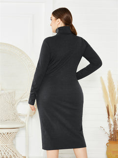 Dahlia's Curves in Charcoal Elegance Dress