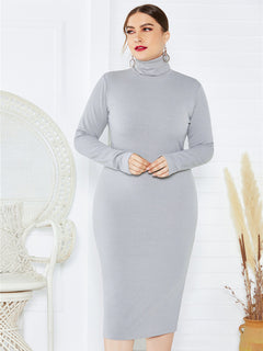 Dahlia's Curves in Charcoal Elegance Dress