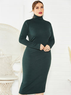 Dahlia's Curves in Charcoal Elegance Dress