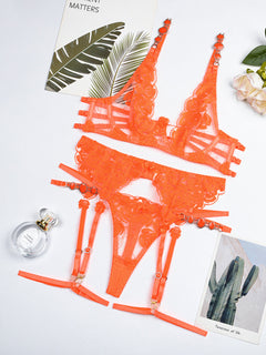 Juliet's Blush Lace Seduction Set