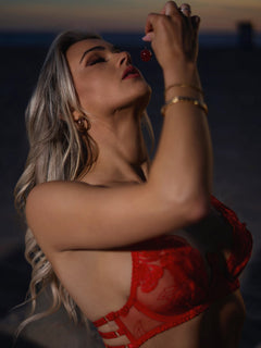 Red Embroidered Sexy Push Up Lingerie Set