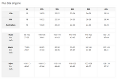 Midnight Temptation Lace Bustier