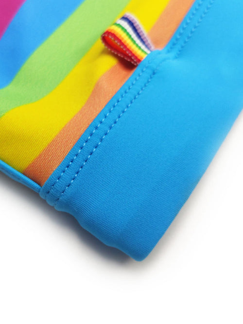 Stand Out: Rainbow Slit Boxer Swim Shorts