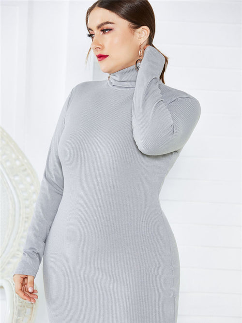 Vivienne's Curvy Turtleneck Affair