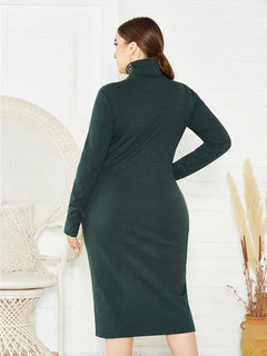 Vivienne's Curvy Turtleneck Affair