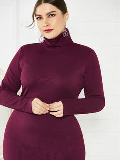 Vivienne's Curvy Turtleneck Affair