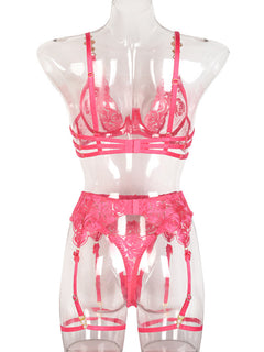 Juliet's Blush Lace Seduction Set