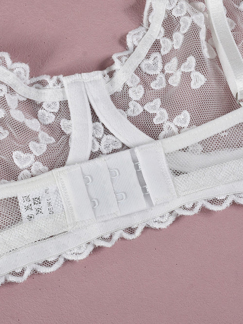 Isabella's Midnight Lace Embrace