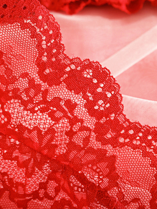 Seductive Sheer Lace Lingerie Set